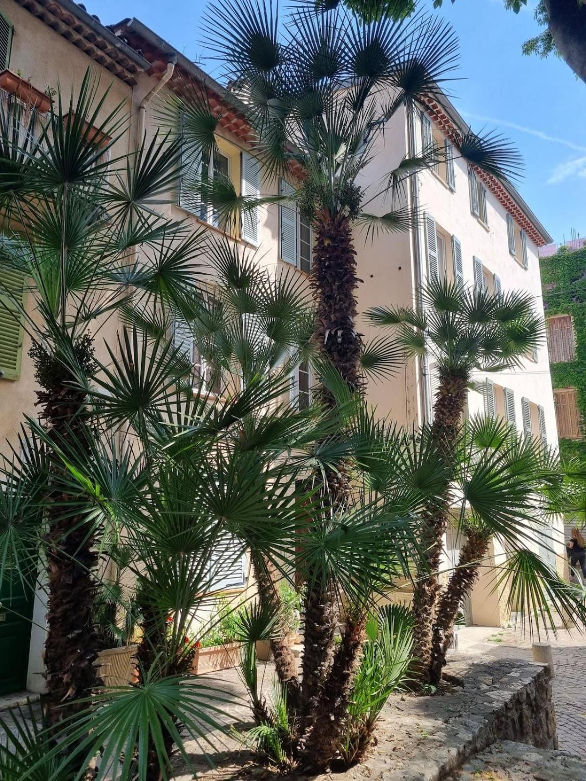 06An - Beautiful Apartment In The Heart Of Old Antibes Exteriör bild